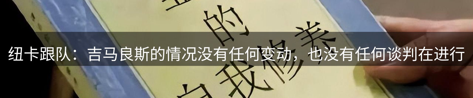 新闻动态